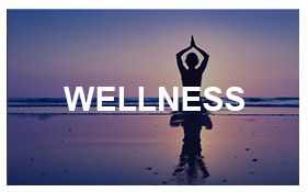 Wellness