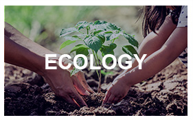 Ecology